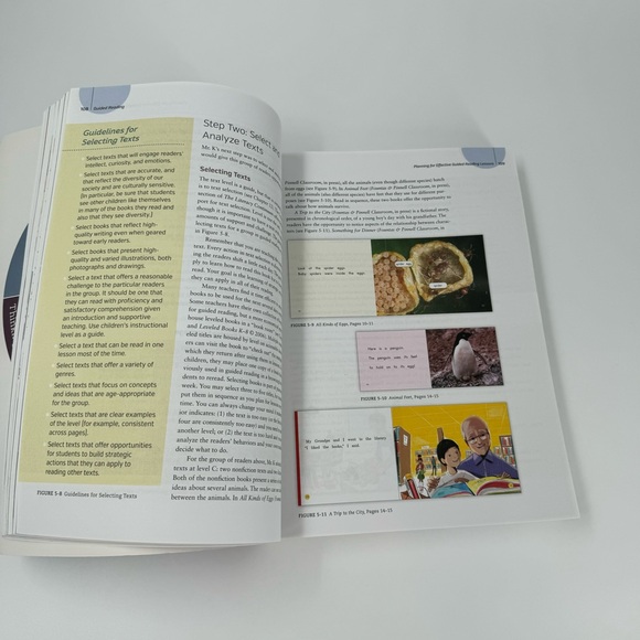 🌴 Guided Reading - Picture 4 of 4